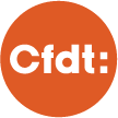 2013 logo CFDT fede